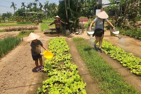 Hoi An Countryside Villages Tour & Hoi An Walking Tour with Sampan Boat Ride
