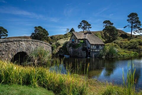 5-Day Best of the North Island from Auckland