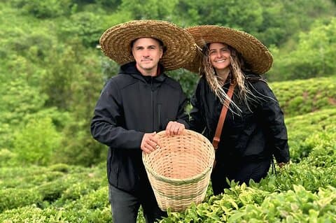 Tea Harvest and Tasting Experience from Leaf to Cup