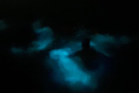 Mystic Waters en bioluminiscent natttur