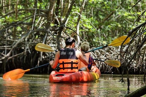 Phuket Deep Roots Jungle to Sea Kayaking e trekking aventura