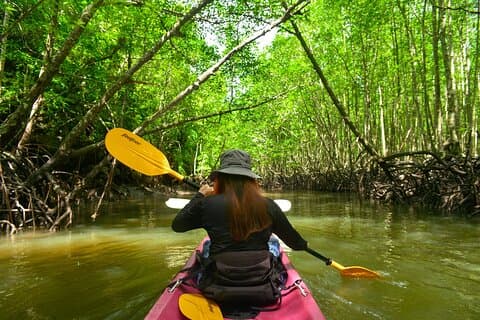 Kayak Ao Thalane Hidden Mangroves og kalksten klipper i Krabi