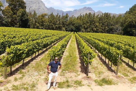 Visite privée des vins du Cap 3 Dégustations, déjeuner et guide expert