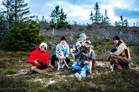Paseo de montaña con compañero husky