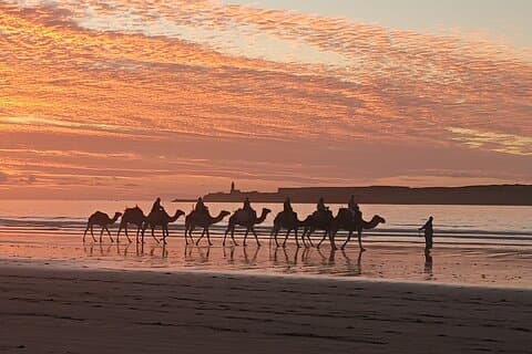 3 hours ride on camel at sunset