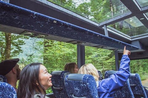 Bus- und Kreuzfahrttour zum Milford Sound ab Queenstown