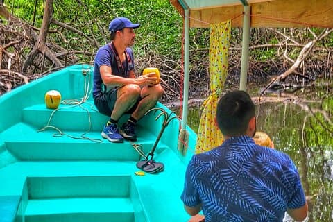 Turtle Release and Mangroves Cruise