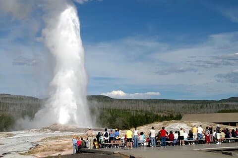 Private Yellowstone helgedagstur fra Jackson Hole