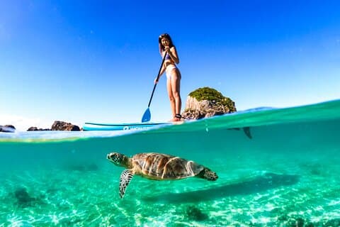 Excursión privada a la isla de Miyako en SUP Adventure