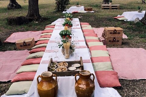 Picnic entre los olivares degustación en la campiña de Conversano