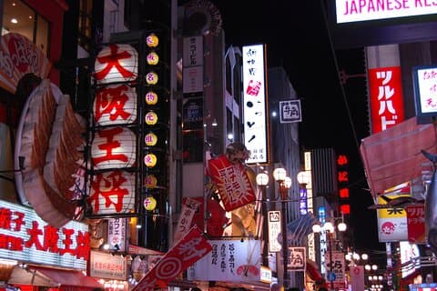 Osaka: Enjoy Street Food & Shopping in Dotonbori
