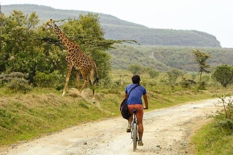 ヘルズゲートとナイバシャ湖ガイド付き日帰り旅行