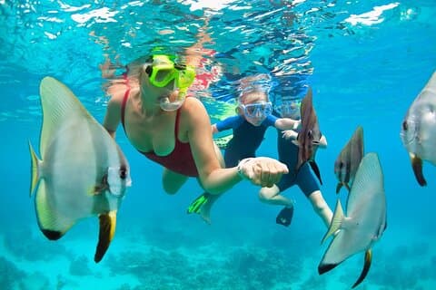 2 - Stunde Mauna Kea One Stop Sealife Schnorchel Abenteuer