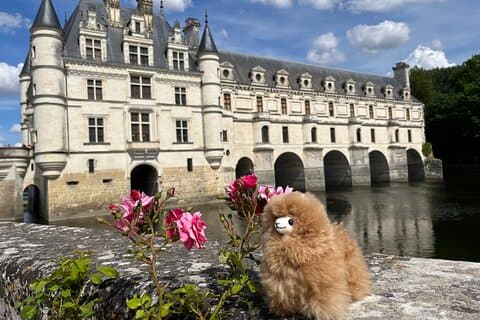 Lille gruppe 3 Loire Valley slott og vinsmaking guidet tur