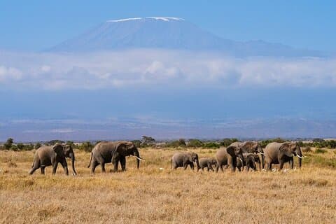 Amboseli Övernattning med boende