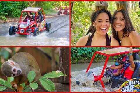 Land of Monkeys Plus ATV 4x4 Buggies Adventure em Puerto Plata