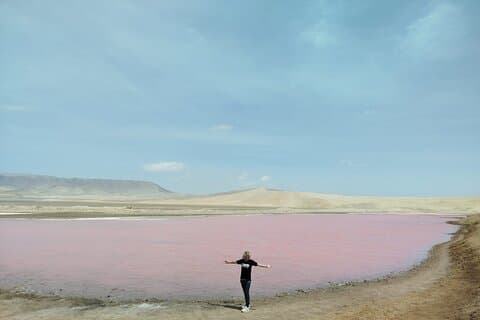 Paracas National Reserve Half Day Tour