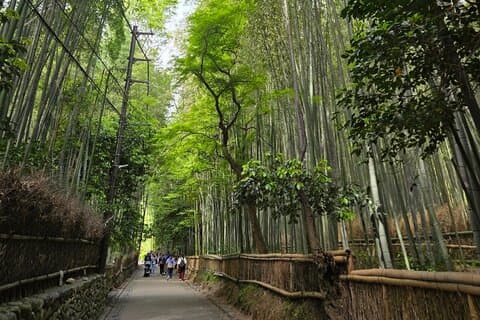 Arashiyama Half Day Tour