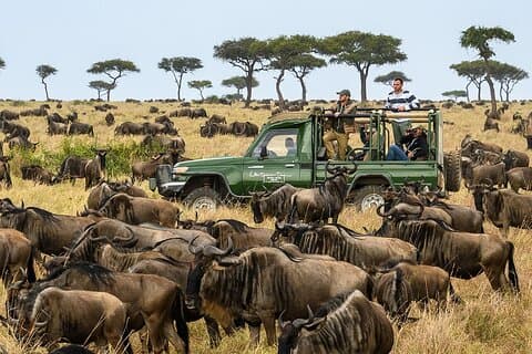 5 Dias Maasai Mara e Ol Pejeta Conservancy Safari em Jeep 4WD