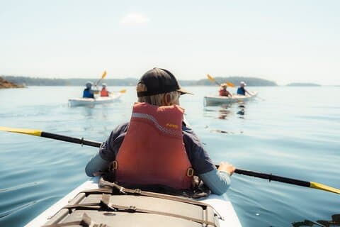 3 Hour Kayaking Tours from Friday Harbor
