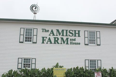 Amish Farm and House 1-Day Small Group with Max 12 Tour from D.C