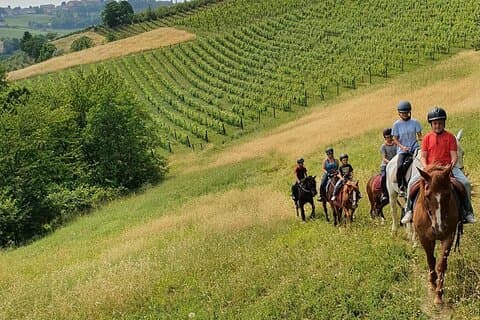 Aventura de equitação em Langhe: Vinhas panorâmicas de Piemonte