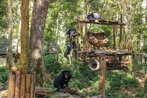 Luang Prabang høydepunkter tur 2 dager