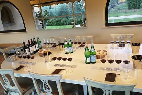 Excursión privada desde Florencia a Ornellaia Wine Estate