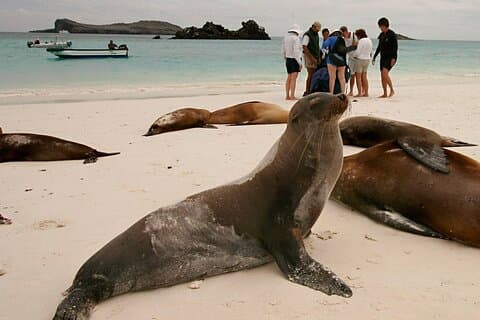 5-dagers tur til å utforske Santa Cruz, Isabel og Santa Fe Galapagos