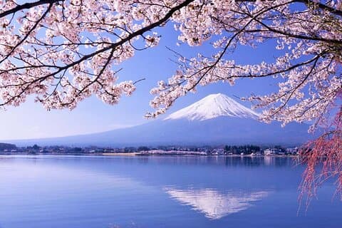 Excursion d'une journée au mont Fuji et dans les cinq lacs autour de la région