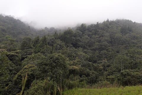 Descubre el Camino de la Guaca en Medellin