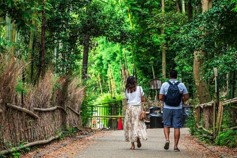 Visite guidée de la forêt de bambous, du temple et plus encore