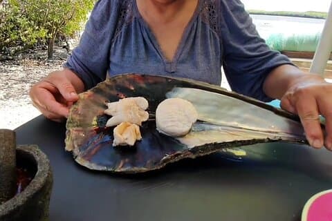 マングローブアドベンチャーシュノーケリングと貝の試食