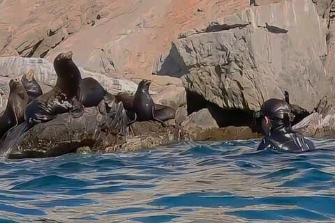 La Paz Wildlife Ocean Safari & Beach Club Leisure in La Ventana