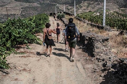 Pinhão Easy Level Walk & Wine Tasting