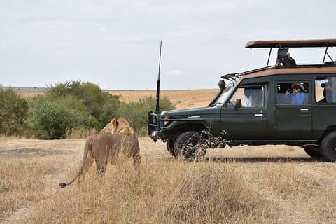3-tägige Maasai Mara-Budget-Safari ab Nairobi