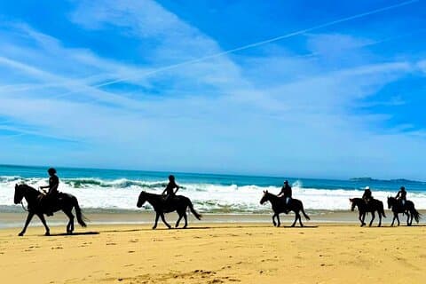 Horseback Ride & Alcatraz Prison Tickets