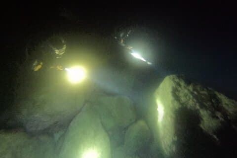 Chania Dykning | Night Dive | Certifierade dykare