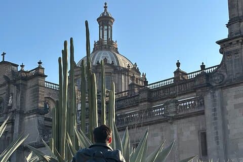現地バイリンガルガイドによるメキシコシティウォーキングツアー