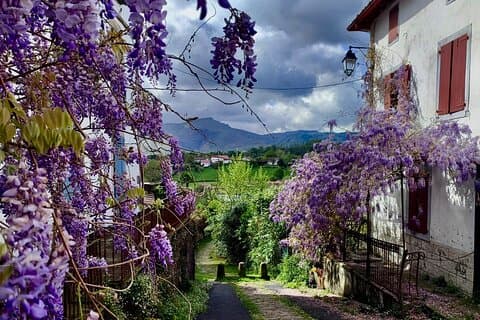 Biarritz Pilgrim Route Tour and Inland Basque Country