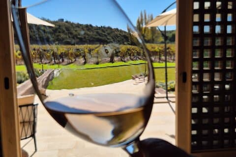 Journée courte dans les vignobles avec chauffeur privé et déjeuner inclus (guide Michelin)