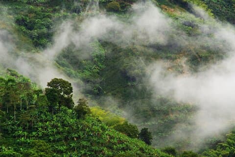 Chicaque Natural Reserve Private Tour with Tickets and Guide