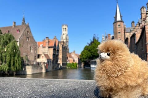 Visite de Bruges et Gand en petit groupe au départ de Paris avec dégustations