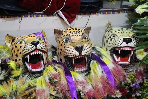 ZOQUES Carnavais, Tradição, Celebração e muita COR!