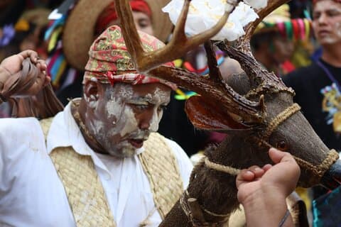 Fiestas Patronales, lo mejor de nuestras tradiciones e historia