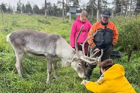 Kittila Lappland Arktis Abenteuer