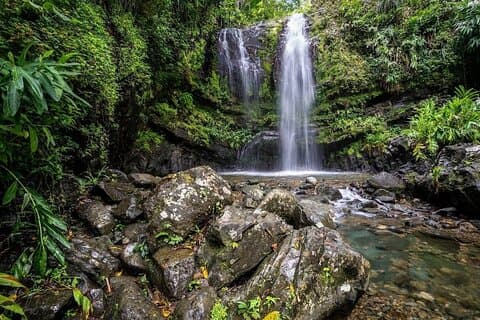 Waterfall Curtain Hidden Rainforest Gem Las Cascadas Delicias