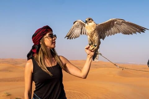 Dubai Desert Safari with BBQ Dinner, Camel Ride & Live Shows