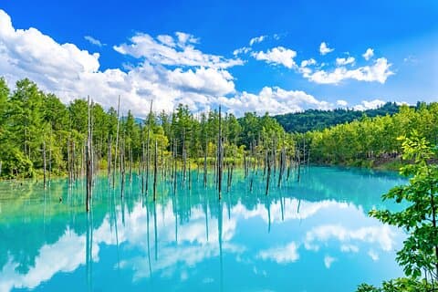 Hokkaido Private Tour startet in Sapporo