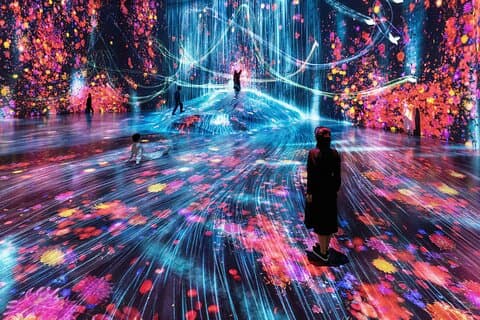 Tickets voor TeamLab Phenomena Abu Dhabi